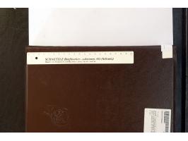 368. Auction - 4501