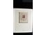 366 auction march 2018 - 3708