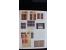 366 auction march 2018 - 4469