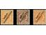 367th. Auction - 6290