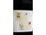367th. Auction - 4280
