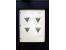 367th. Auction - 4235