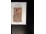 367th. Auction - 4441