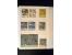 371st Auction - 3021