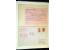 371st Auction - 3181