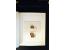 371st Auction - 3940