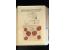 371st Auction - 6817