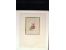 371st Auction - 3166