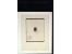 371st Auction - 3006