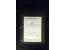 371st Auction - 3125