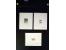 371st Auction - 3004