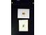 371st Auction - 3004