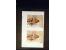 371st Auction - 3014