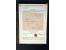 371st Auction - 3049