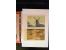 371st Auction - 3175