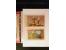 371st Auction - 3175