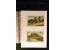 371st Auction - 3175