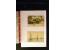 371st Auction - 3175