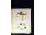 371st Auction - 3020