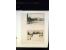 371st Auction - 3037