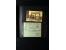 373rd Auction - 4507