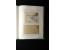 373rd Auction - 4507