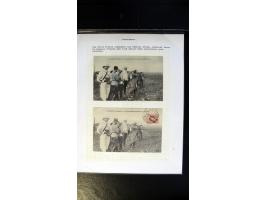 366 auction march 2018 - 3936
