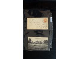 366 auction march 2018 - 3883