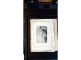366 auction march 2018 - 5305