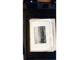 366 auction march 2018 - 5305