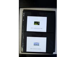 367th. Auction - 4007