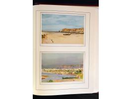 368. Auction - 4316