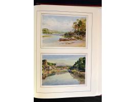 368. Auction - 4316
