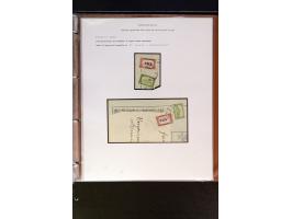 368. Auction - 4214