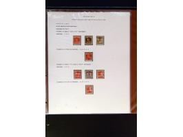 368. Auction - 4214