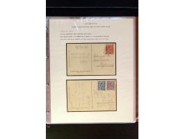 368. Auction - 4214