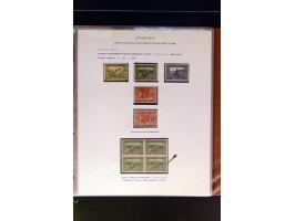 368. Auction - 4213