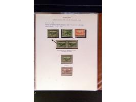 368. Auction - 4213