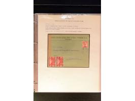 368. Auction - 4213
