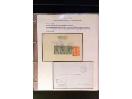 368. Auction - 4213
