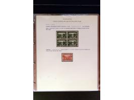 368. Auction - 4213