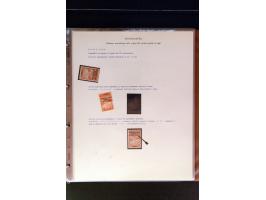 368. Auction - 4213