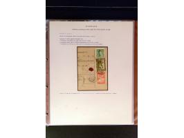 368. Auction - 4213