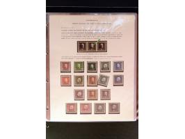 368. Auction - 4213