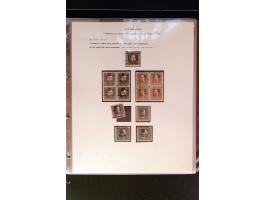 368. Auction - 4213