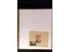 368. Auction - 4213