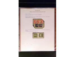 368. Auction - 4213