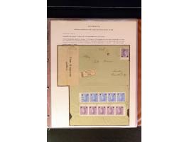 368. Auction - 4213