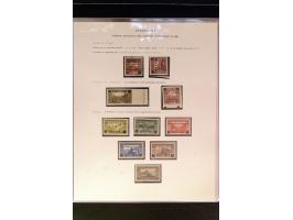 368. Auction - 4213