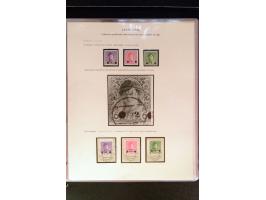 368. Auction - 4213